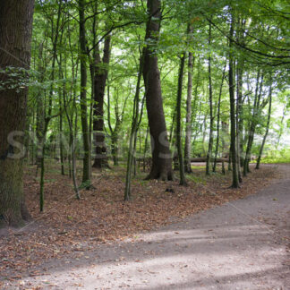 Weiterer Weg - Fotos-Schmiede