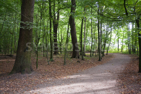 Weiterer Weg - Fotos-Schmiede