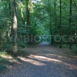 Weiterer Wegverlauf - Fotos-Schmiede