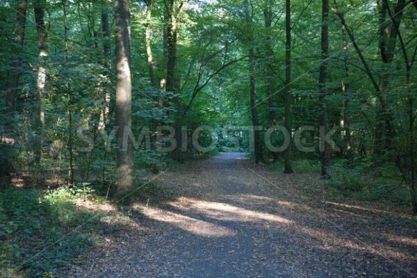 Weiterer Wegverlauf - Fotos-Schmiede