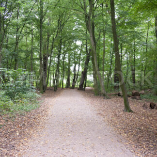 Weiterer Wegverlauf im östlichen Teil - Fotos-Schmiede