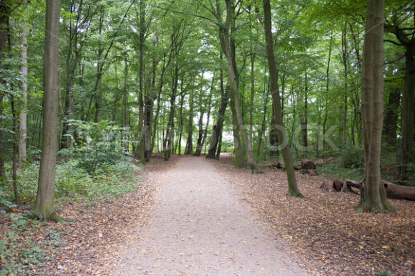 Weiterer Wegverlauf im östlichen Teil - Fotos-Schmiede