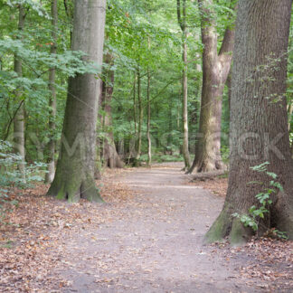 Westlicher Teil - Fotos-Schmiede