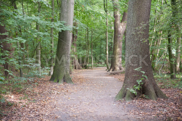 Westlicher Teil - Fotos-Schmiede