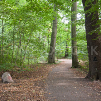 Zugang - Fotos-Schmiede