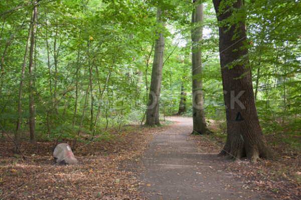 Zugang - Fotos-Schmiede