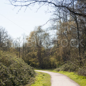 Spazierweg in Marienthal im Frühjahr - Fotos-Schmiede
