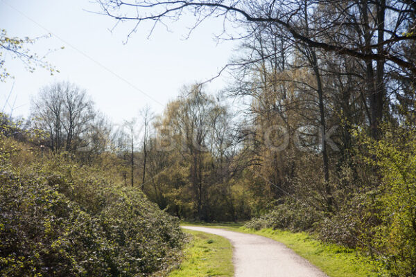 Spazierweg in Marienthal im Frühjahr - Fotos-Schmiede