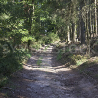 Aufstieg zum Hülsenberg_4 - Fotos-Schmiede