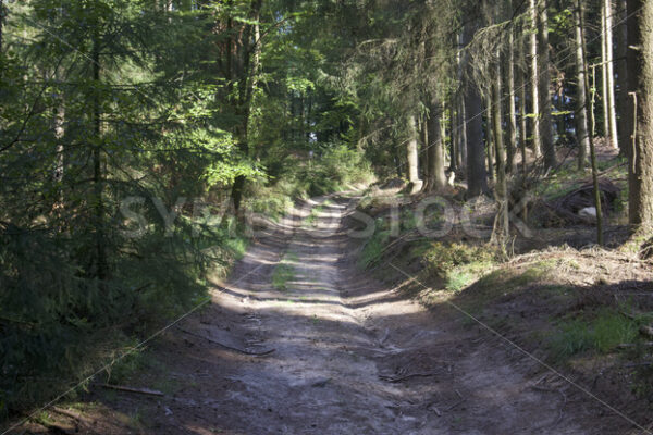 Aufstieg zum Hülsenberg_4 - Fotos-Schmiede