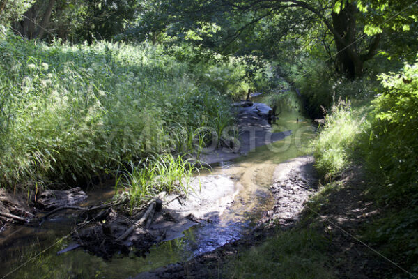 Bachverlauf am Öjendorfer See - Fotos-Schmiede