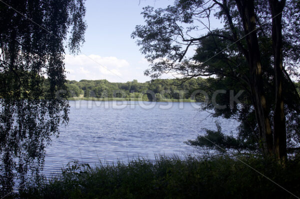 Blick auf das Ostufer des Öjendorfer Sees - Fotos-Schmiede