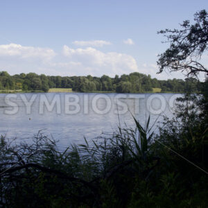 Blick auf das Ostufer des Öjendorfer Sees mit Badewiesen - Fotos-Schmiede