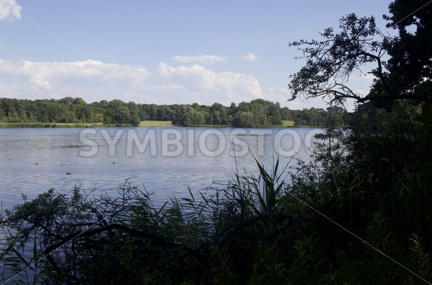 Blick auf das Ostufer des Öjendorfer Sees mit Badewiesen - Fotos-Schmiede