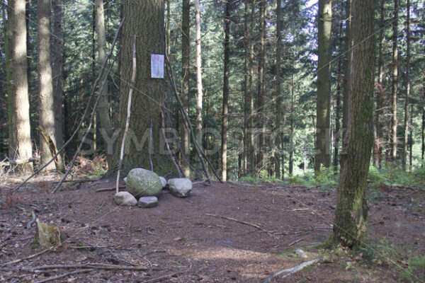 Gipfel des Hülsenbergs 155 m - Fotos-Schmiede