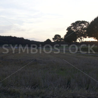 Landschaft bei Sieversen beim Sonnenuntergang_2 - Fotos-Schmiede