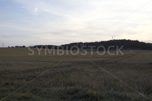 Lanschaft bei Sieversen beim Sonnenuntergang_1 - Fotos-Schmiede