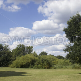 Parkwiese - Fotos-Schmiede