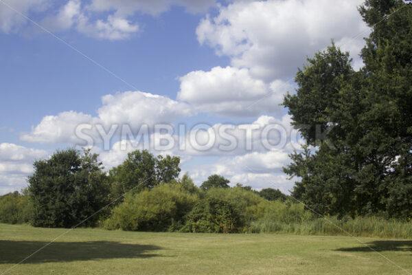 Parkwiese - Fotos-Schmiede