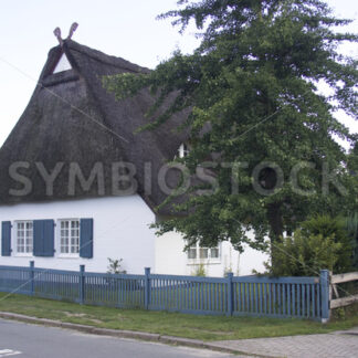 Reetgedecktes Haus in Sieversen - Fotos-Schmiede