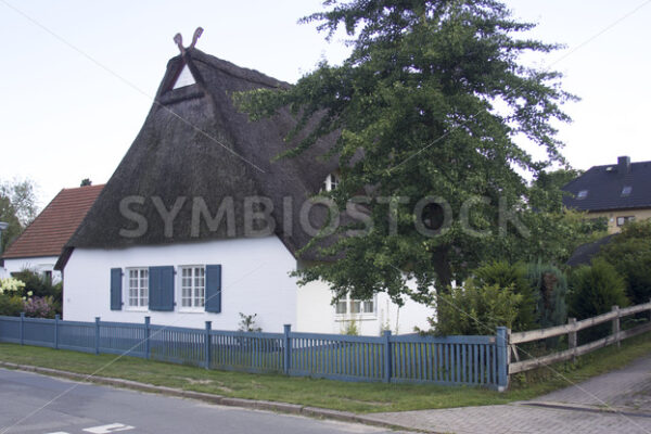 Reetgedecktes Haus in Sieversen - Fotos-Schmiede