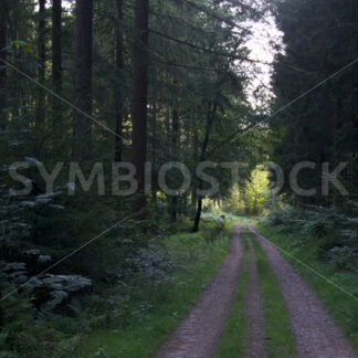 Regionalpark Rosengarten_14 - Fotos-Schmiede