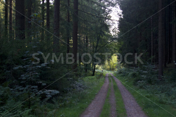 Regionalpark Rosengarten_14 - Fotos-Schmiede