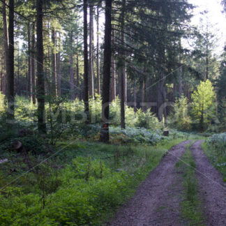 Regionalpark Rosengarten_15 - Fotos-Schmiede