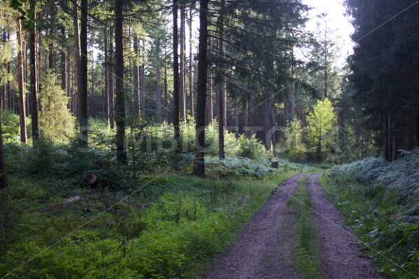 Regionalpark Rosengarten_15 - Fotos-Schmiede