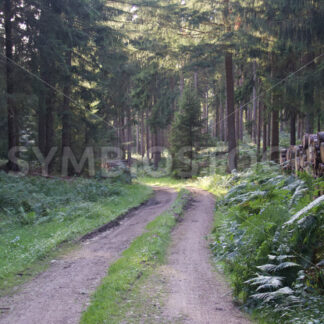 Regionalpark Rosengarten_16 - Fotos-Schmiede