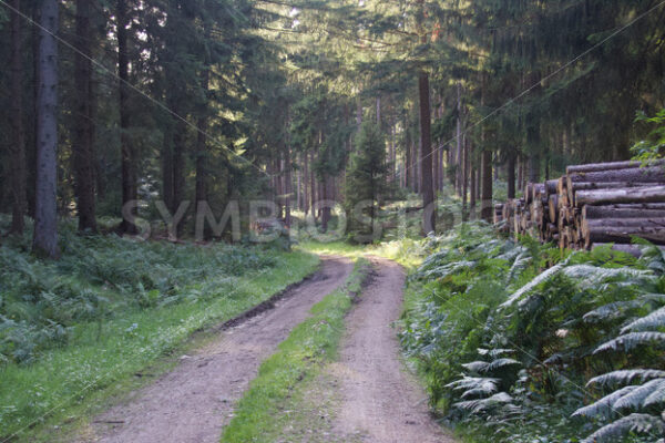 Regionalpark Rosengarten_16 - Fotos-Schmiede