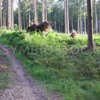 Regionalpark Rosengarten_18 - Fotos-Schmiede