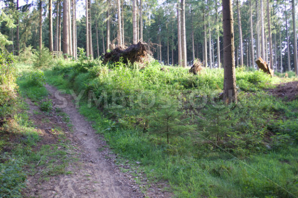 Regionalpark Rosengarten_18 - Fotos-Schmiede