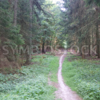 Regionalpark Rosengarten_20 - Fotos-Schmiede