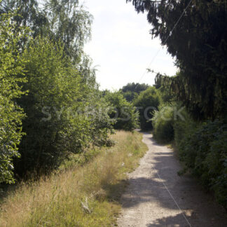 Spazierweg in Jenfeld - Fotos-Schmiede