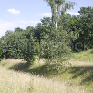 Weiterer, leerer Bachverlauf - Fotos-Schmiede