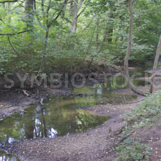 Berner Aue mit sehr geringem Wasserstand - Fotos-Schmiede