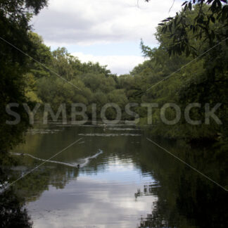 Eichtalteich - Fotos-Schmiede