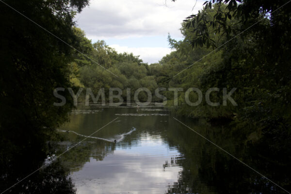 Eichtalteich - Fotos-Schmiede