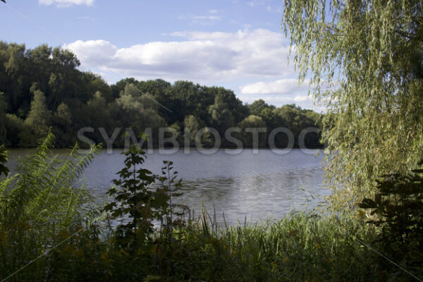 Kupferteich - Fotos-Schmiede