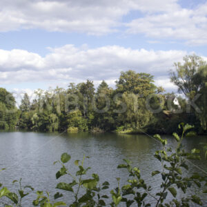 Ostender Teich - Fotos-Schmiede