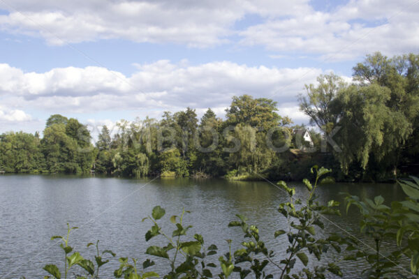 Ostender Teich - Fotos-Schmiede