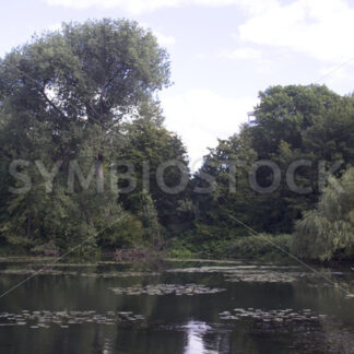 Reiher am Eichtalteich - Fotos-Schmiede