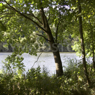 Sicht auf den Kupferteich - Fotos-Schmiede