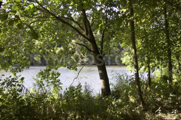 Sicht auf den Kupferteich - Fotos-Schmiede