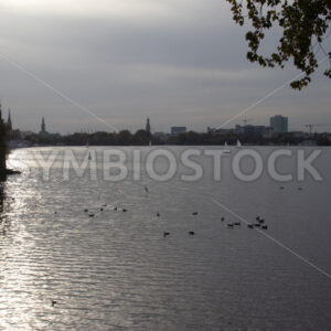 Abendstimmung an der Außenalster - Fotos-Schmiede