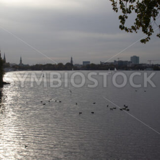 Abendstimmung an der Außenalster - Fotos-Schmiede