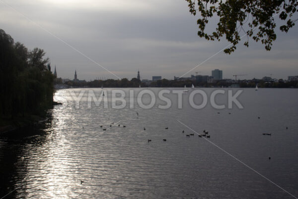 Abendstimmung an der Außenalster - Fotos-Schmiede