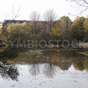 Der Mühlenteich - Fotos-Schmiede