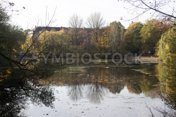 Der Mühlenteich - Fotos-Schmiede